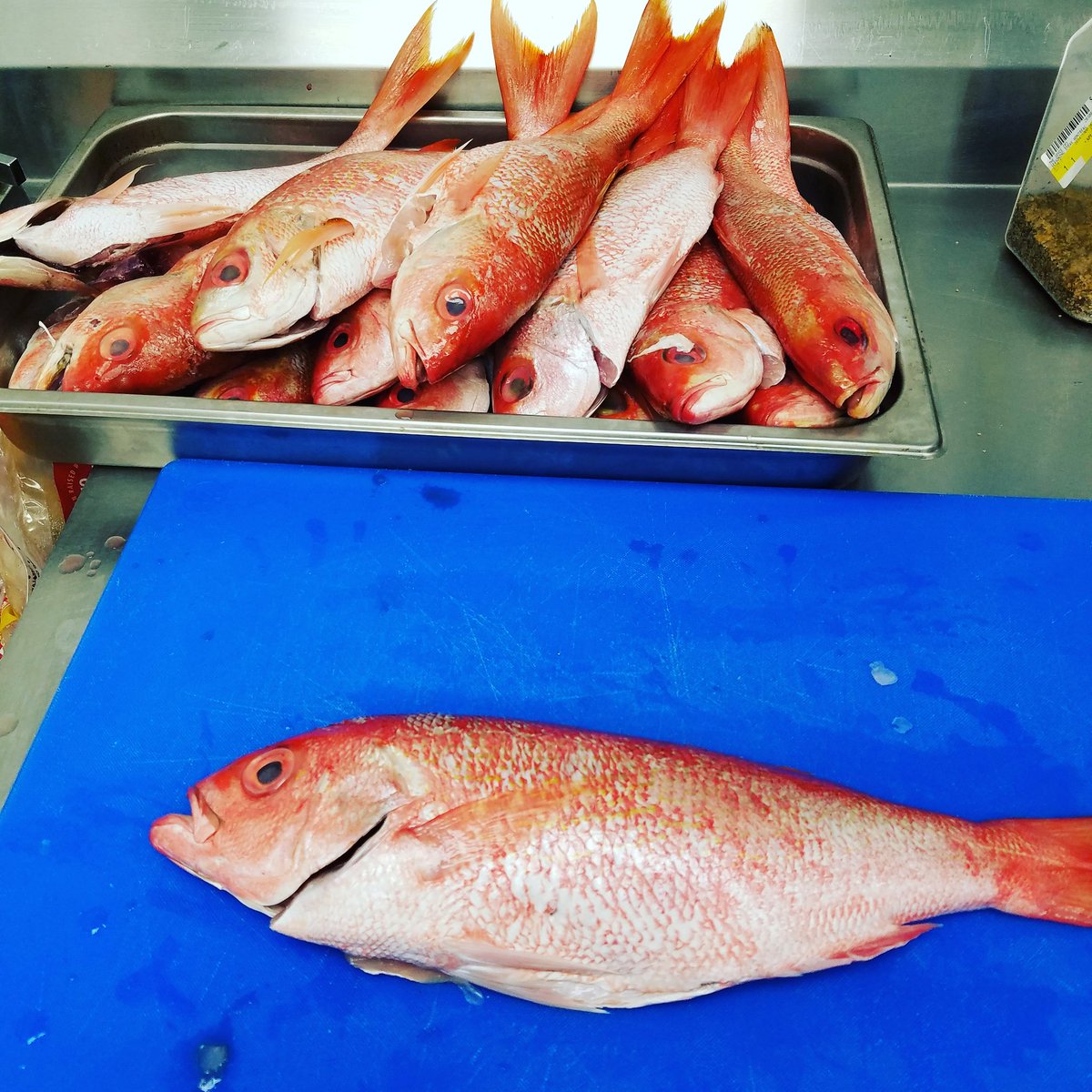 #RedSnapper #FreshOffTheBoat #FOB #culinarycraft #butchering #seafoodspecialist