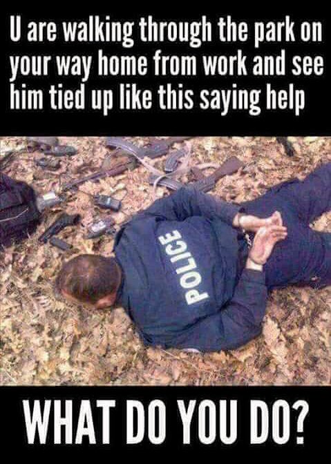 TrutherUfo's tweet image. 