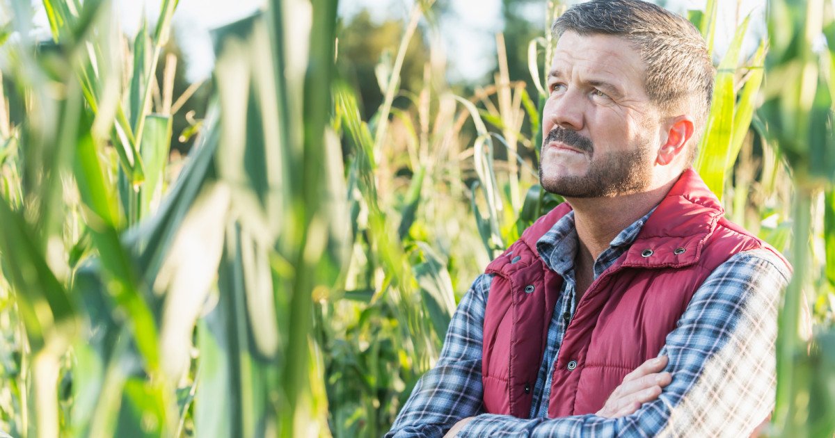 MotherJones's tweet photo. The GOP tax bill is really going to screw most of America's farmers https://t.co/FFG1W7SQZg https://t.co/1NwORh7LfV