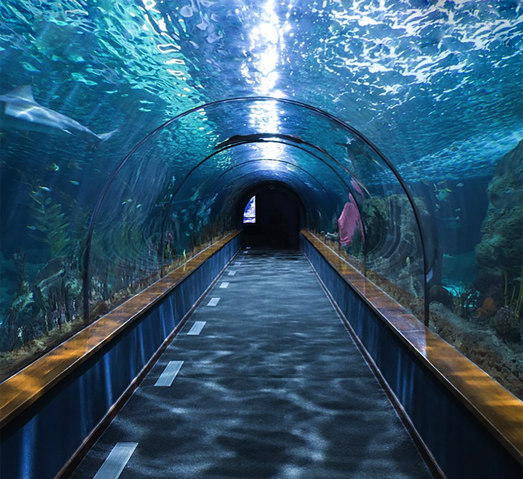 NW_Journalist's tweet photo. 7. Blue Reef Aquarium https://t.co/VI3PXWEpij https://t.co/IaUeYJj9qL