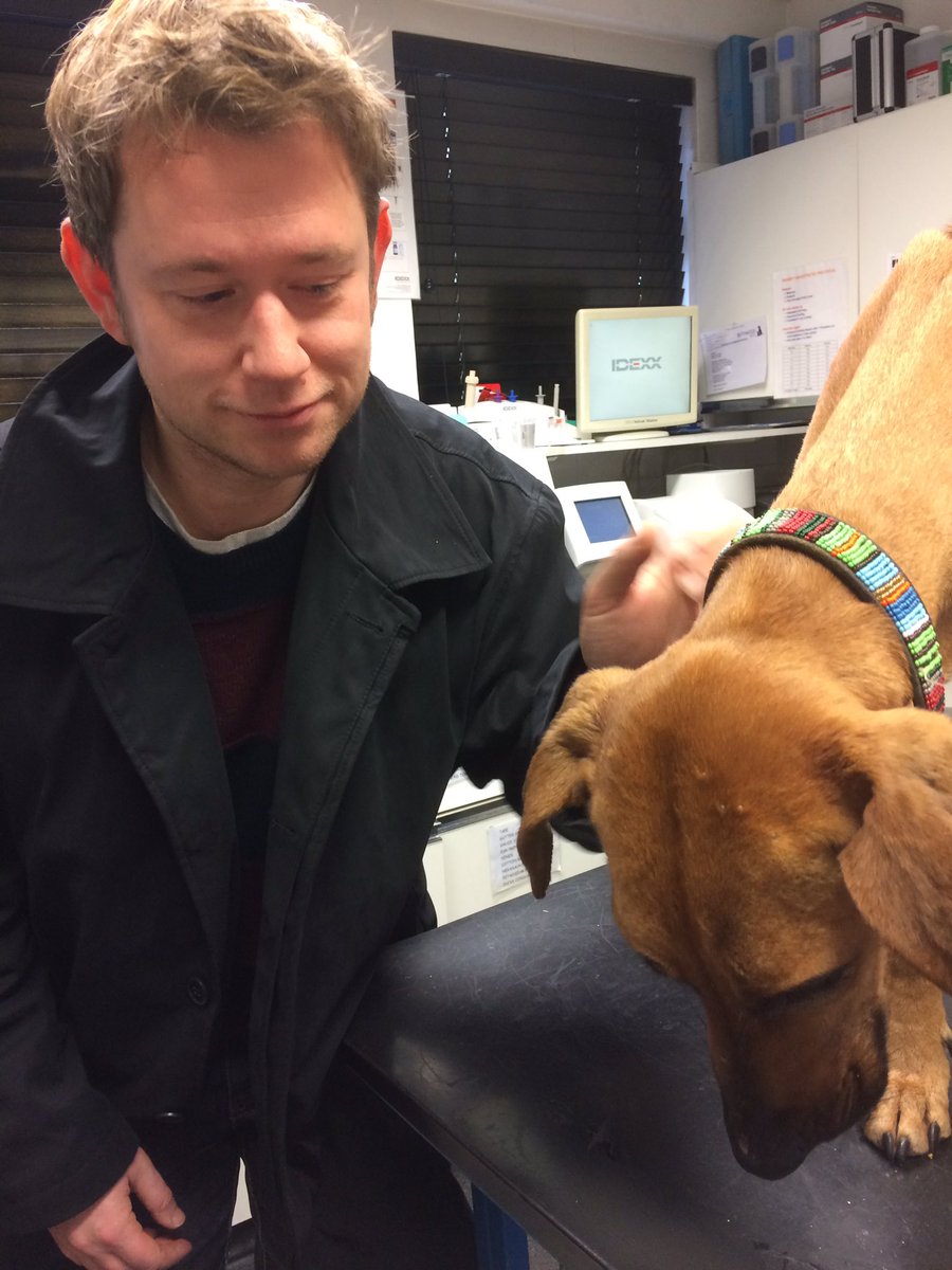 rawsonjones's tweet photo. MANGO IS HOME! After being missing for six weeks, my dog is back. She weighs just 17kg now and there's a long road ahead, but she's home and surrounded by warmth and love. Thanks to everyone for support. #FindMango https://t.co/K8gxNNCfr6