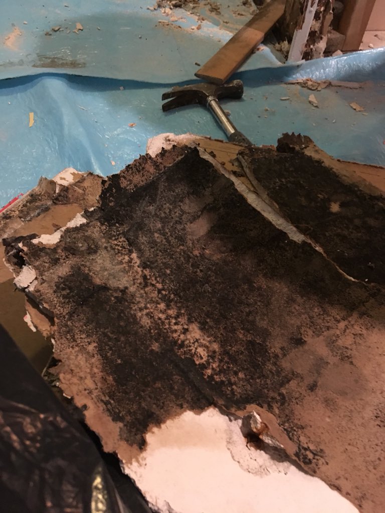 lauracyw2's tweet photo. The contractor (a non certified plumber) admitted he hadn’t glued the pipes together which was the cause of the flood, damages, and black mold https://t.co/2NvcEbl1ev