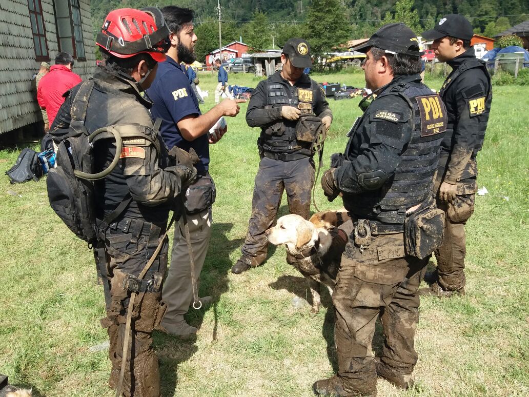 PDI_CHILE's tweet photo. Con las patas embarrada. Largo día de trabajo de nuestros compañeros #caninos.🐶🐶#VillaSantaLucia #Chaiten #Aluvión https://t.co/ldhEKfLD7b