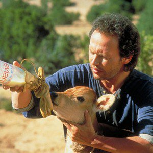 Simon (@_mustacheride) on Twitter photo *sendin' out a little smile for a L'il Filly* <a href="/OffKilterCanter/">Sophie Scurlock</a> *sendin' out a little smile for a L'il Filly* <a href="/OffKilterCanter/">Sophie Scurlock</a>