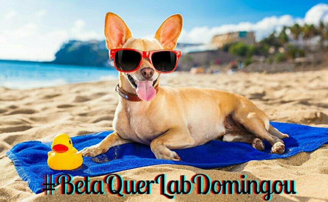 Aquela boa noite a todos Betas!!!
#BetaQuerLab #BetaQuerLabDomingou