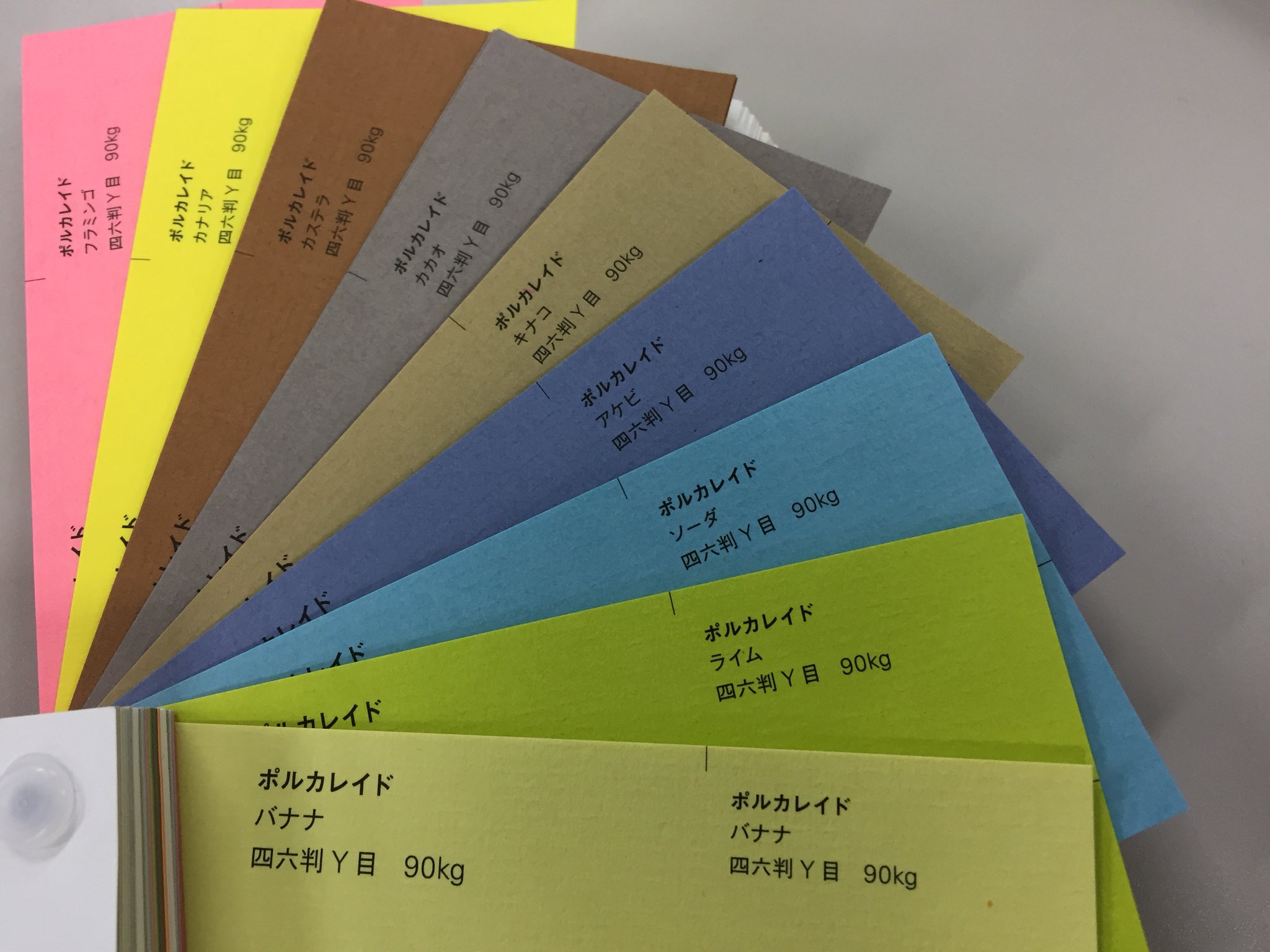 ぽるか 61hUNUCTRML._AC_UF350,