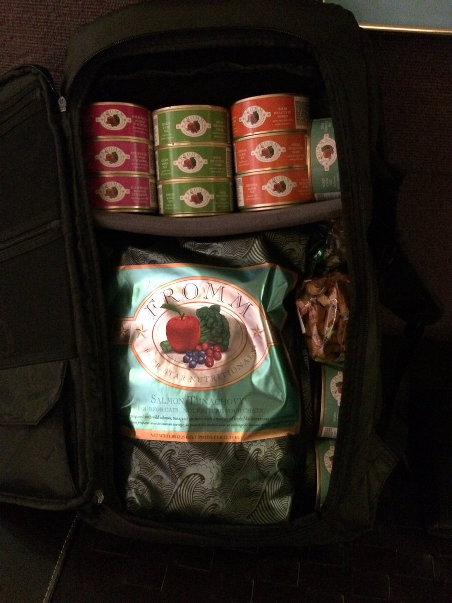 everbailey's tweet image. Bought it for traveling with @NS4Games. Cat Lady achievement unlocked! This thing is ridiculous! Thank you @meta_threads 🎮💕🐈