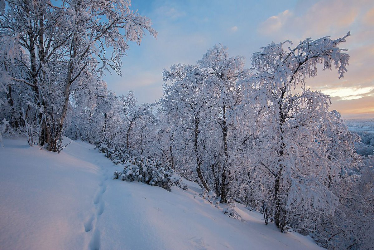 SeasonalFeels's tweet photo. Jorma Hevonkoski https://t.co/wBxnjXbUl0