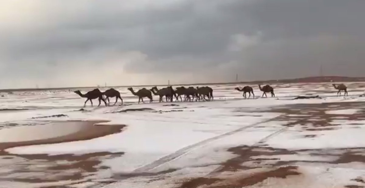 J-14! ⏳ 2018, année du "dialogue culturel franco-émirien"

La neige, un must pour la saison des fêtes! Savez-vous qu’il neige aussi aux Emirats ?❄️🌴❄️🌲❄️

#Corse #MagnifiqueFrance #Traitdunion 🇦🇪🇫🇷

Crédits Photos : RAK (©al Khaleej) / Corse (©S.Ordan_Corse-Matin)