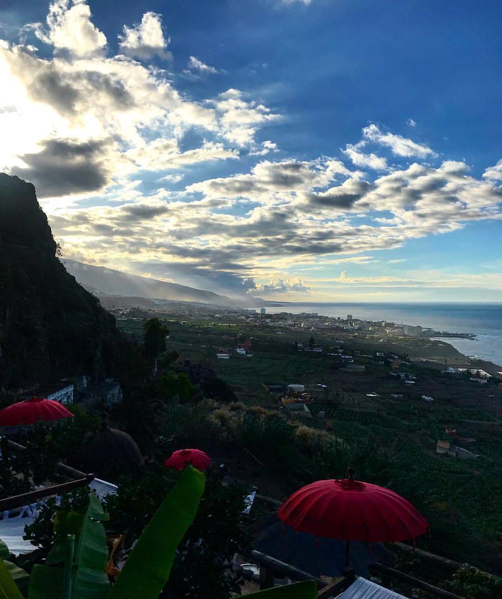 Tenerife Forum (@tenerife_forum) on Twitter photo 
