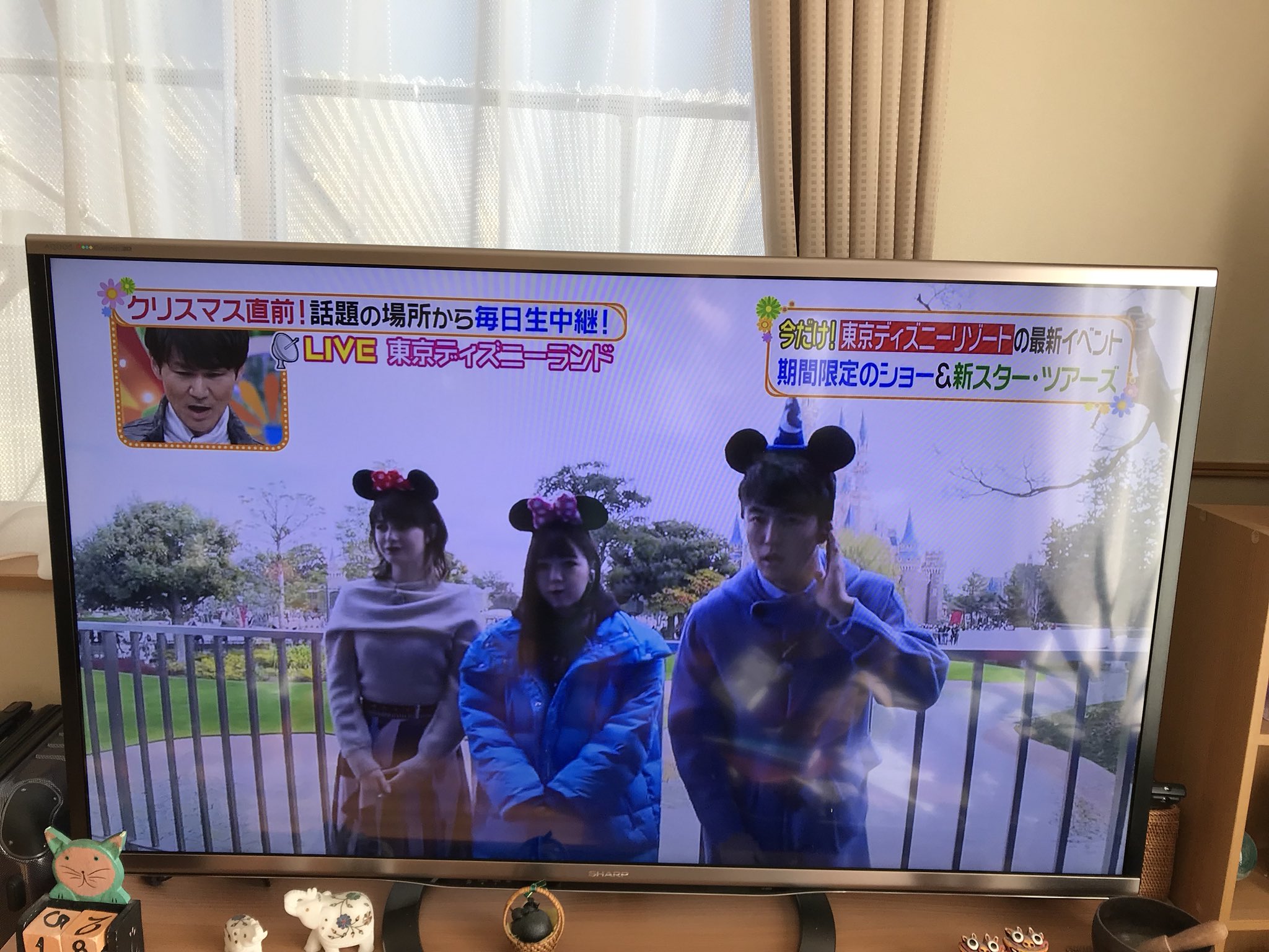 かほ 11 23 ランド ヒルナンデスでディズニー特集 T Co Fwxcgzktjd Twitter