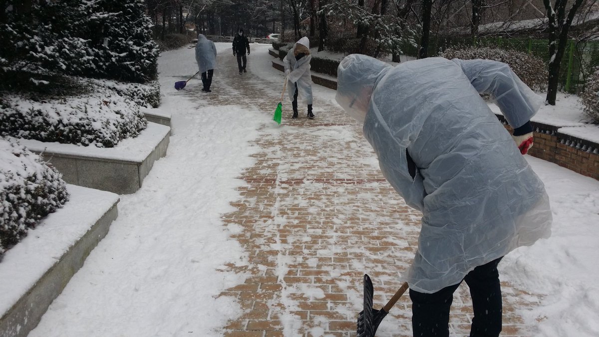 라설 tweet media