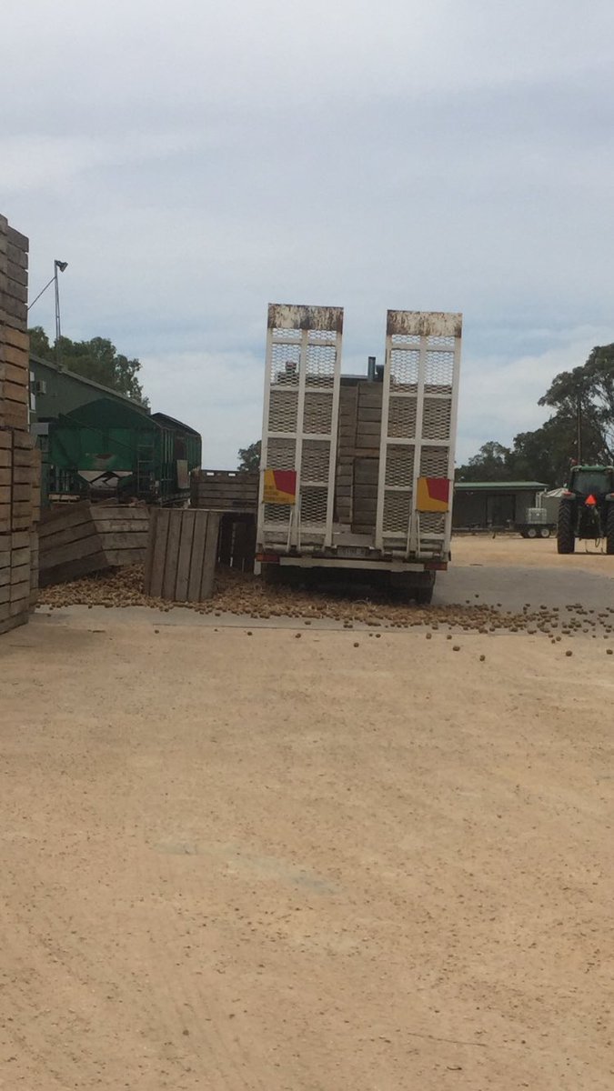dan_potatoes's tweet image. Fork driver "bloody old boxes" ahh probably didn't help you had 2bins 6foot in the air, going to fast, then hit the breaks #potatospill