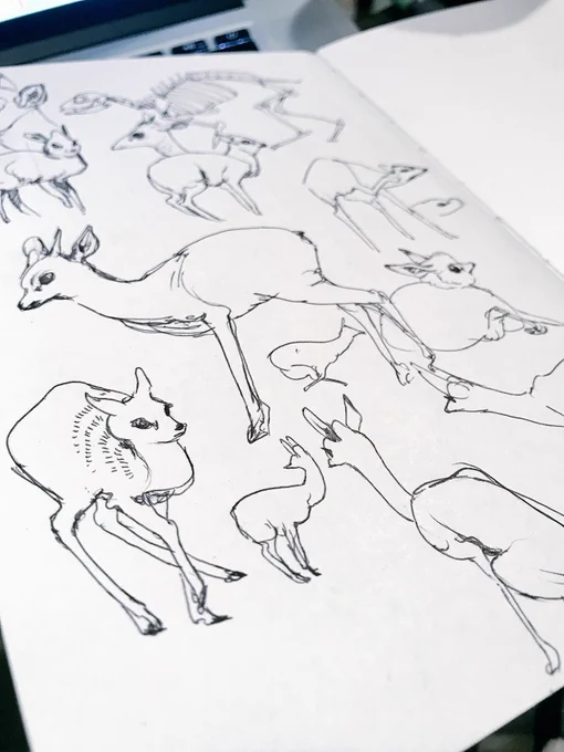Dik diks! #sketch 