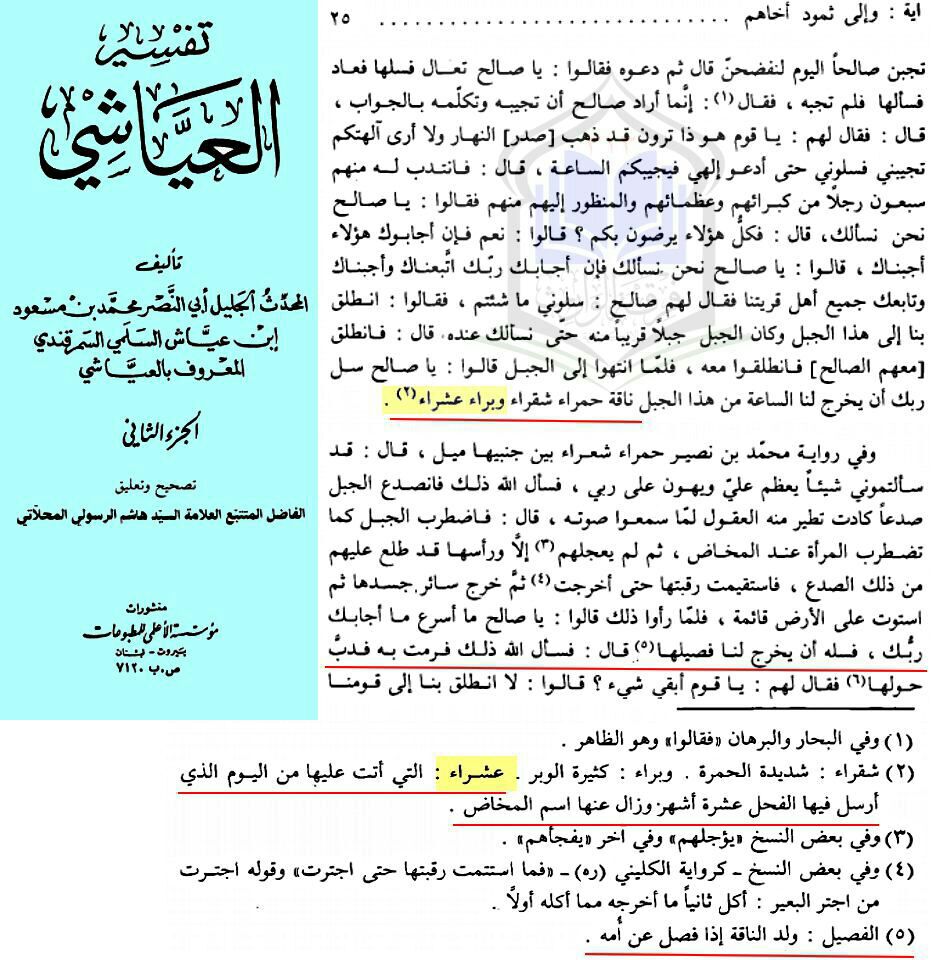 FTehrani4's tweet photo. #ناقه_صالح
مردم از صالح نبی‌: شترسرخ مو پرپشم،با کرک زیاد و باردار در اولین جفتگیری و سر ده ماه زائیده بابچه اش ازکوه بیرون بیاور.
هنیئا لکم https://t.co/45tmDMfSZi