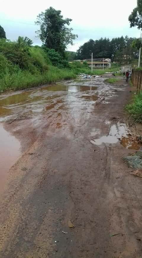 Cosa76's tweet photo. #OnePlanetSumit #AliBongoDegage #AliBongoIsKilling @WWF @BFMTV #Bollore #Tv5 @PEStrasbourg @N_Hulot #cnn #AngelaMerkel @JCheminade @brett_l_carter @lemondefr 🤣🤣🤣🤣🤣🤣🤣🤣🤣🤣🤣🤣🤣 500000 $ ! Heureusement que les #Gabonais mettront ce 🦍🦍 hors du #Gabon 🇬🇦👊🏽🇬🇦👊🏽 https://t.co/GK5wob3owu