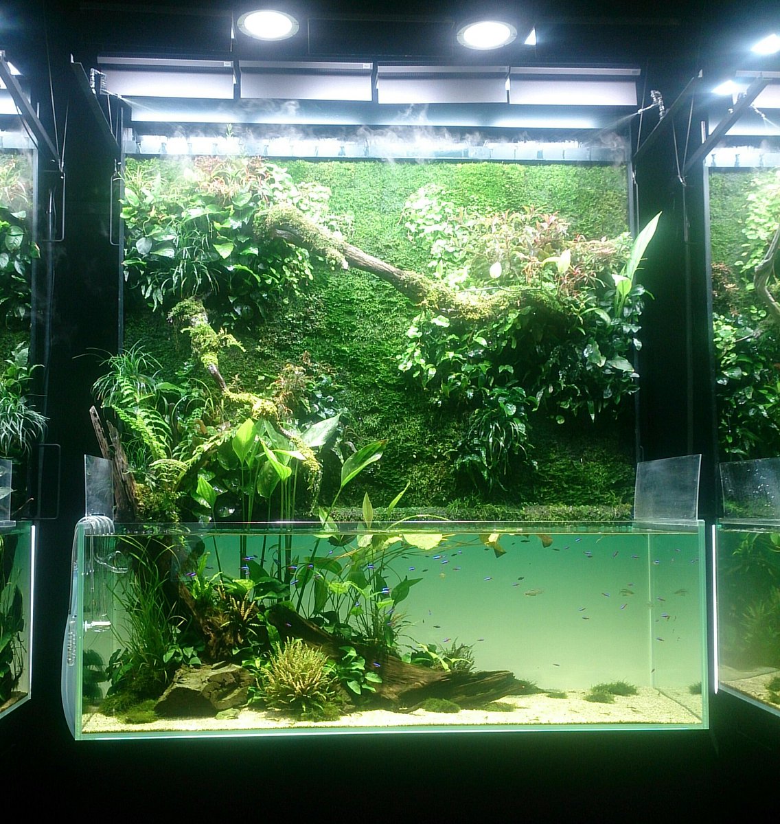 Ryon 天野尚 Nature Aquarium展 Galleryaamo 写真家でもある天野氏の写真展とネイチャーアクアリウムという構成 会場内にはアマゾン の生音が流れ まるで現地にいるような気分に 見る位置や魚の動きによって表情が変化する水景が美しい 無心で眺めてい Ryon 天野尚 Nature Aquarium展 Galleryaamo 写真家でもある天野氏の写真展とネイチャーアクアリウムという構成 会場内にはアマゾン の生音が流れ まるで現地にいるような気分に 見る位置や魚の動きによって表情が変化する水景が美しい 無心で眺めてい