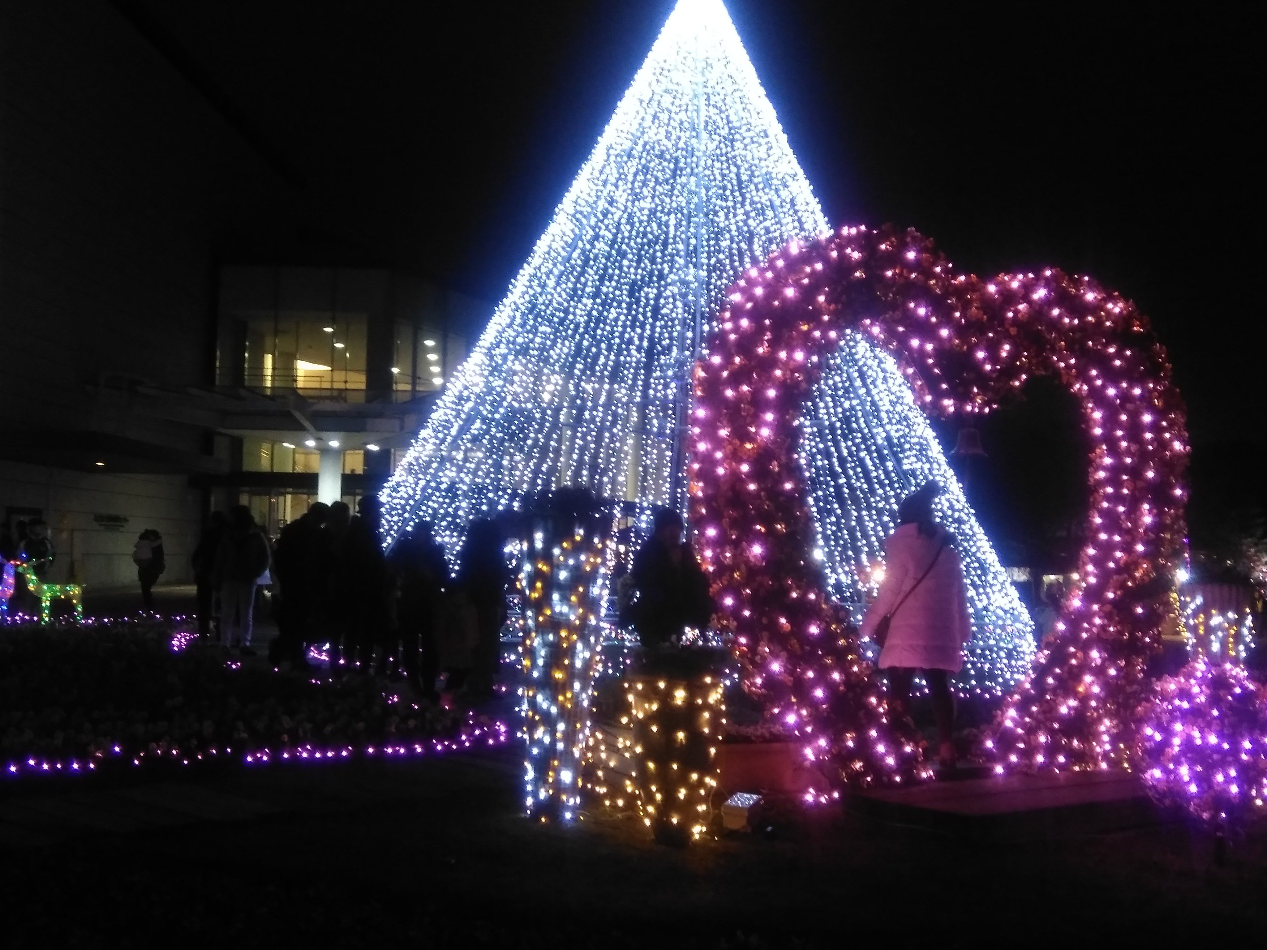 長居公園 Nagai Park Al Twitter 長居植物園では ガーデンイルミネーション２０１７ 天空の花園 を開催中 会場内はフォトスポットがいっぱい 16日 土 はこの日限定の ドラえもんショー に子どもたちは大喜び ショーの後は握手会 ドラえもんは握手できるの