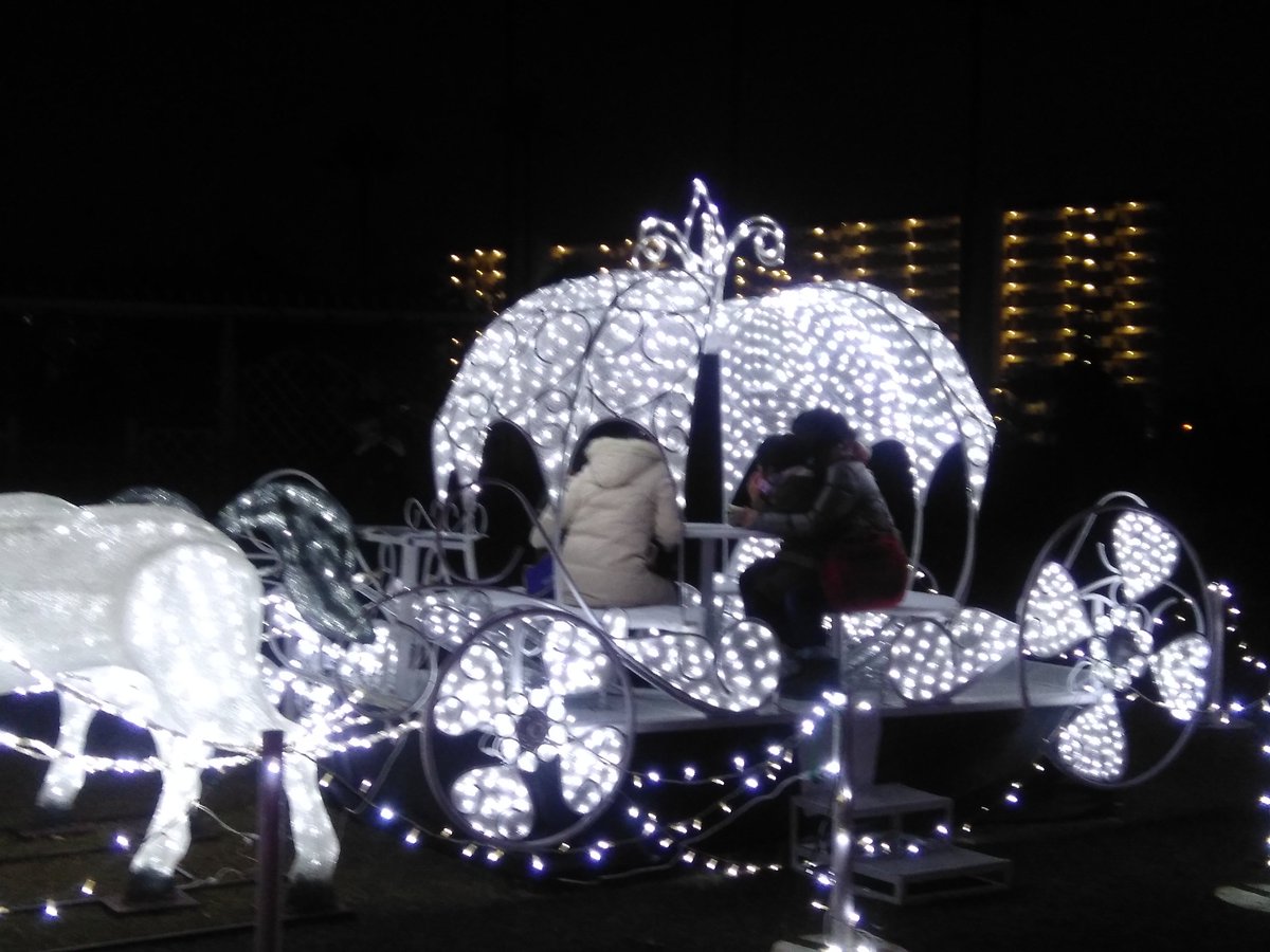 長居公園 Nagai Park 長居植物園では ガーデンイルミネーション2017 天空の花園 を開催中 会場内はフォトスポットがいっぱい 16日 土 はこの日限定の ドラえもんショー に子どもたちは大喜び ショーの後は握手会 ドラえもんは握手できるの 長居公園 Nagai Park 長居植物園では ガーデンイルミネーション2017 天空の花園 を開催中 会場内はフォトスポットがいっぱい 16日 土 はこの日限定の ドラえもんショー に子どもたちは大喜び ショーの後は握手会 ドラえもんは握手できるの
