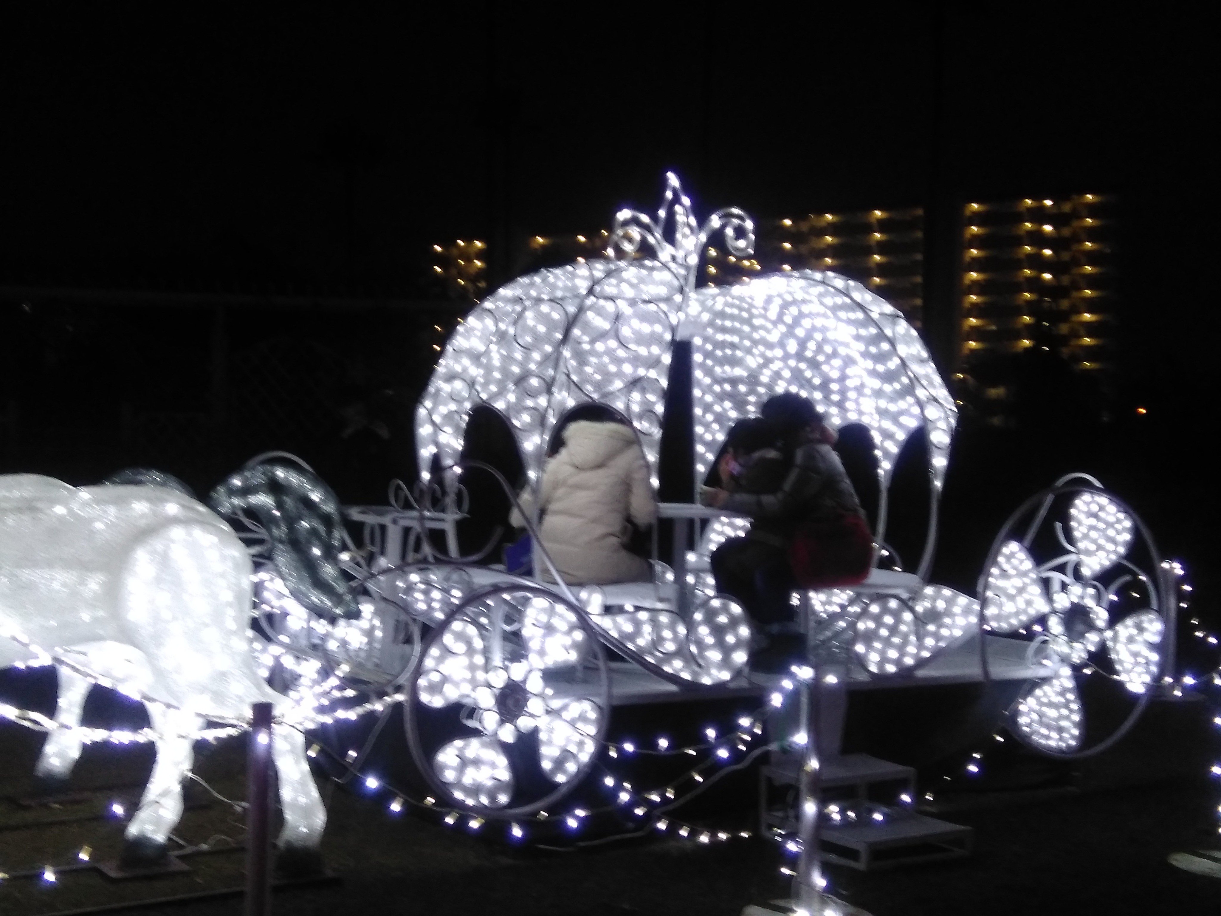 長居公園 Nagai Park Al Twitter 長居植物園では ガーデンイルミネーション２０１７ 天空の花園 を開催中 会場内はフォトスポットがいっぱい 16日 土 はこの日限定の ドラえもんショー に子どもたちは大喜び ショーの後は握手会 ドラえもんは握手できるの