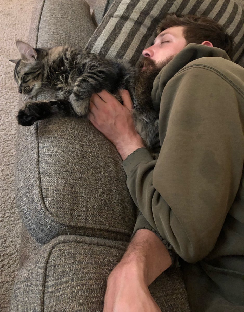 melting_meadows's tweet image. Without fail, these two nap together at least once or twice a weekend. ☺️❤️😻 #ernie #newbeard #catdad