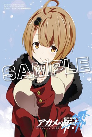 アニメガ ソフマップ 公式 中の人 コミック １２月２５日 スクウェア エニックス アカメが斬る 零８巻 購入特典 戸流ケイ先生描き下ろしイラストカード付 アニメガ 文教堂一部店舗 通販はコチラ T Co Fc9xe8g17u T Co