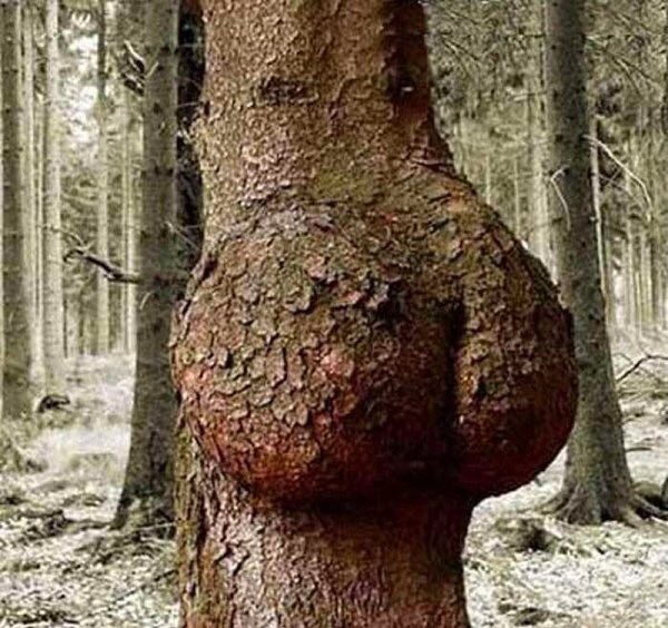 IndexCardNFL's tweet image. For people saying that the index card was too thick: first of all hit me up in the DMs and secondly I get it from my mama