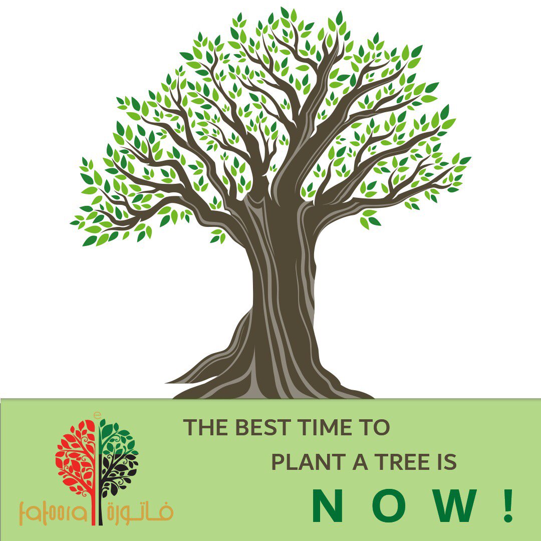 efatoora's tweet photo. So, what are you waiting for?! #gogreen #godigital #gopaperless #1tonlesspaper #plantatree #efatoora #vision2021 #mydubai #uae ππ³ https://t.co/S4BjbxxnKJ