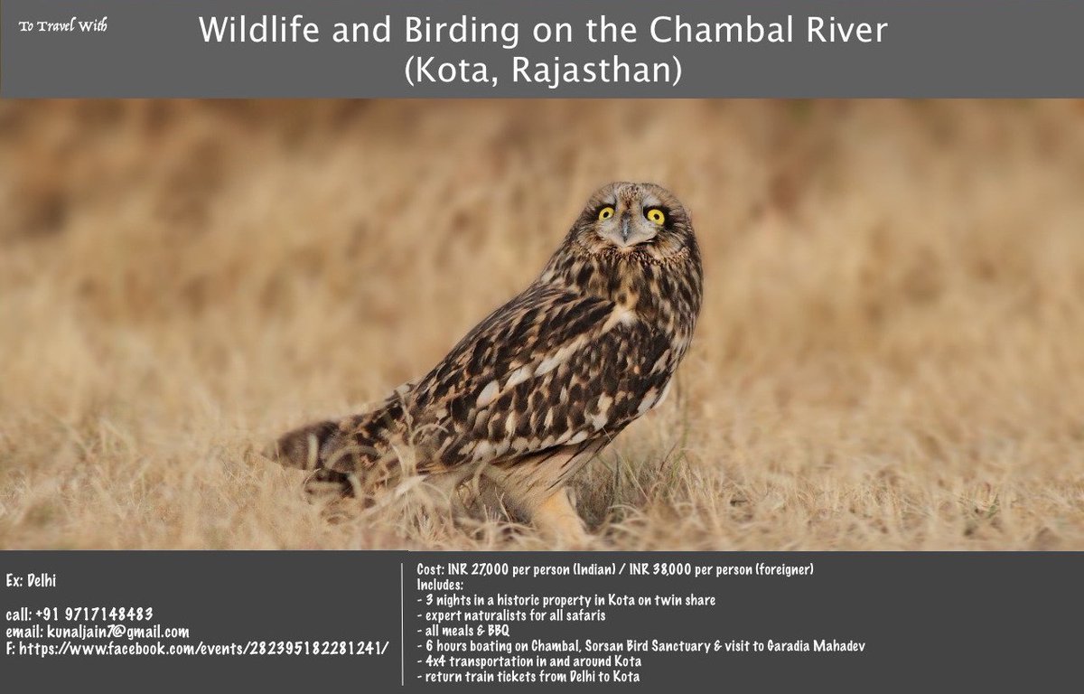 Your Local Cousin tweet media