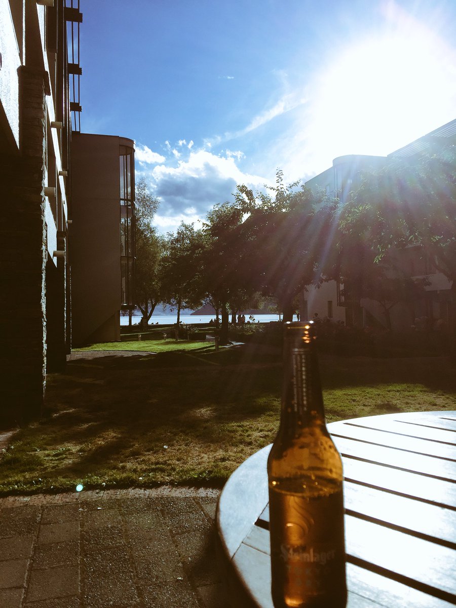 Scotty Jenkin tweet media