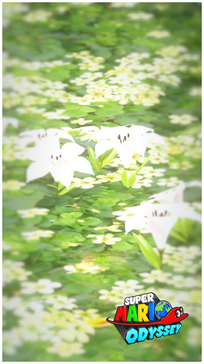 Jordan Hall tweet media