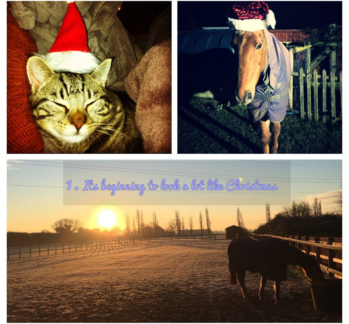 Replying to <a href="/BrightSelection/">Bright Selection</a>
Vote Pic 1