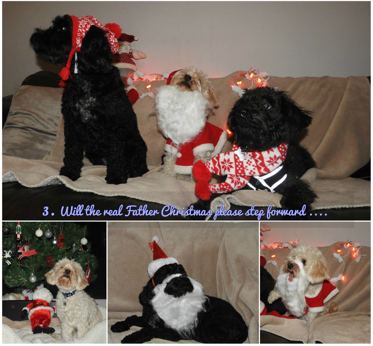 Replying to <a href="/BrightSelection/">Bright Selection</a>
Vote Pic 3