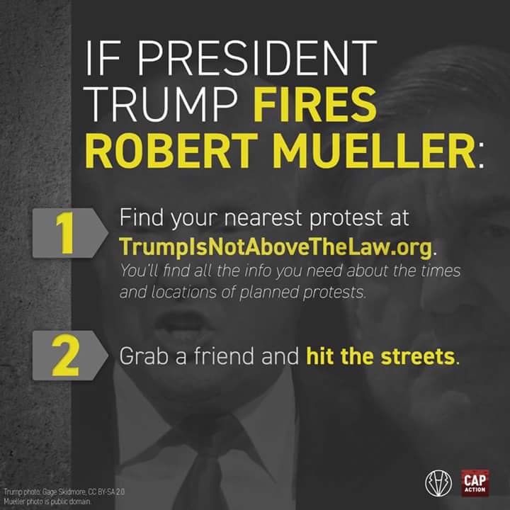 DebbieDoesTwitt's tweet image. 🗽 #BePrepared  
If #Mueller is fired grab your to go bag and head to your nearest protest location✌
#TrumpIsNOTAboveTheLaw 
#TheResistance 
#MondayMorning