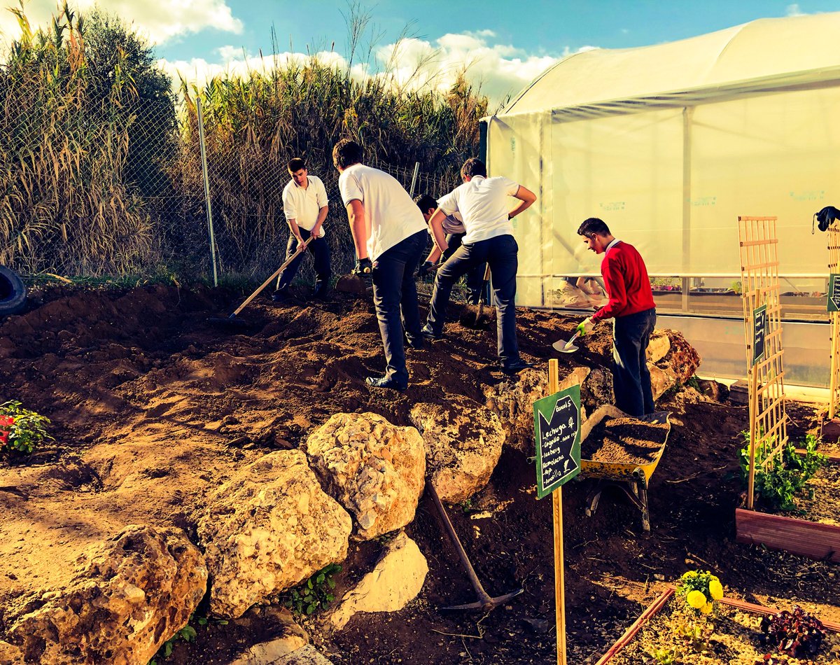 ColegioEP's tweet photo. Alumnos de Tercero de ESO arrimando el hombro por la tierra y la huerta. En El Pinar; el trabajo cooperativo se demuestra andando... @huertum #vidasana #emprendimiento #agropinar #hacemosescuela https://t.co/JihIIN5MlK