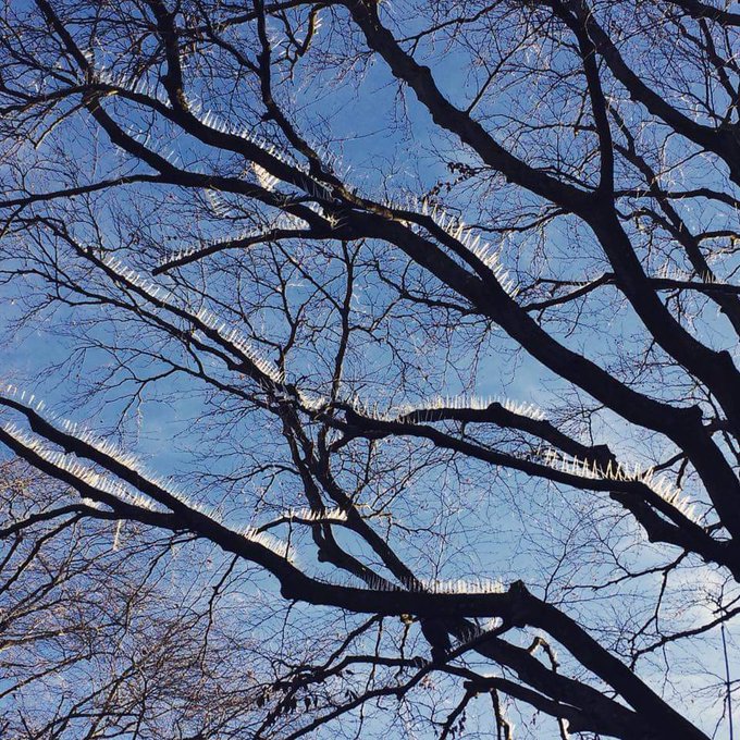 View image on Twitter