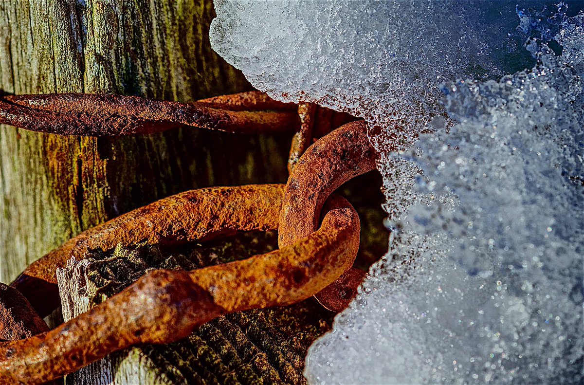 ayearupclose's tweet photo. "Snow Chains"
.
.
.
#Macro #ayearupclose #lifestory #macrodaily #macrophotography #macro_shot #macroworld #photodaychallenge
#unsung_tiny_heroes
#Rustlord_Unity
#myrustyfix
#jj_delightfully_deteriorating
#flaming_rust
#trb_rust
#500pxrtg
#Nature #Snow #BarbedWire https://t.co/DnSwTNDUS6