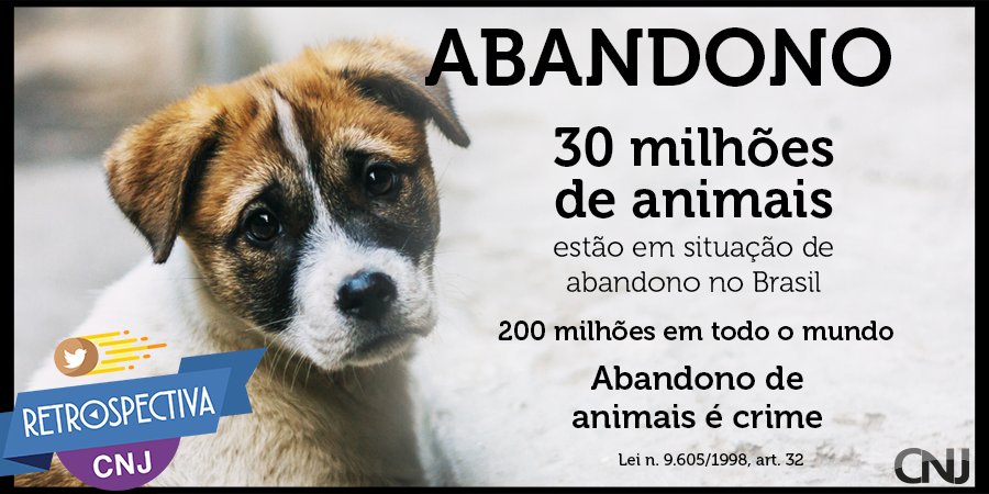 #RetrospectivaCNJ ☄ Abandono de animais, além de ser cruel, é crime! A pena é de detenção, de 15 dias a 6 meses, ou multa! 🐶 🐱