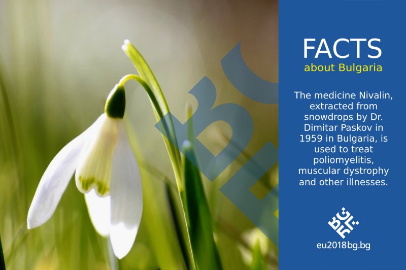BGPermRepEU's tweet photo. #BulgariaIn30Facts: The #medicine 💊 #Nivalin, extracted from the bulbs of the #snowdrops, was first extracted by 🇧🇬 chemist 👨🏻‍🔬Dimitar Paskov in 1959. Still used today to treat #Alzheimer #Poliomyelitis and #Neuritis https://t.co/byHBozrkiL