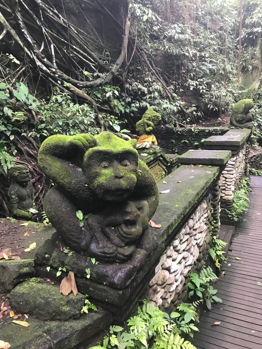 I'm at Sacred Monkey Forest Sanctuary in Ubud, Bali https://t.co/PJEIhYsTf4 https://t.co/xxRpDxRMal<a href="/tag/a4latam"class="tags"><span>#a4latam</span></a>