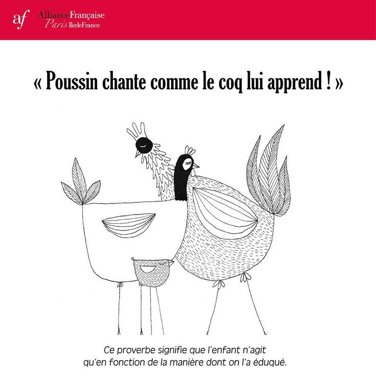 theonecommunit1's tweet photo. Pour bien faire, l’éducation de l’enfant commence par celle du parent qui l’éduque... https://t.co/tbGPGbL8Uz