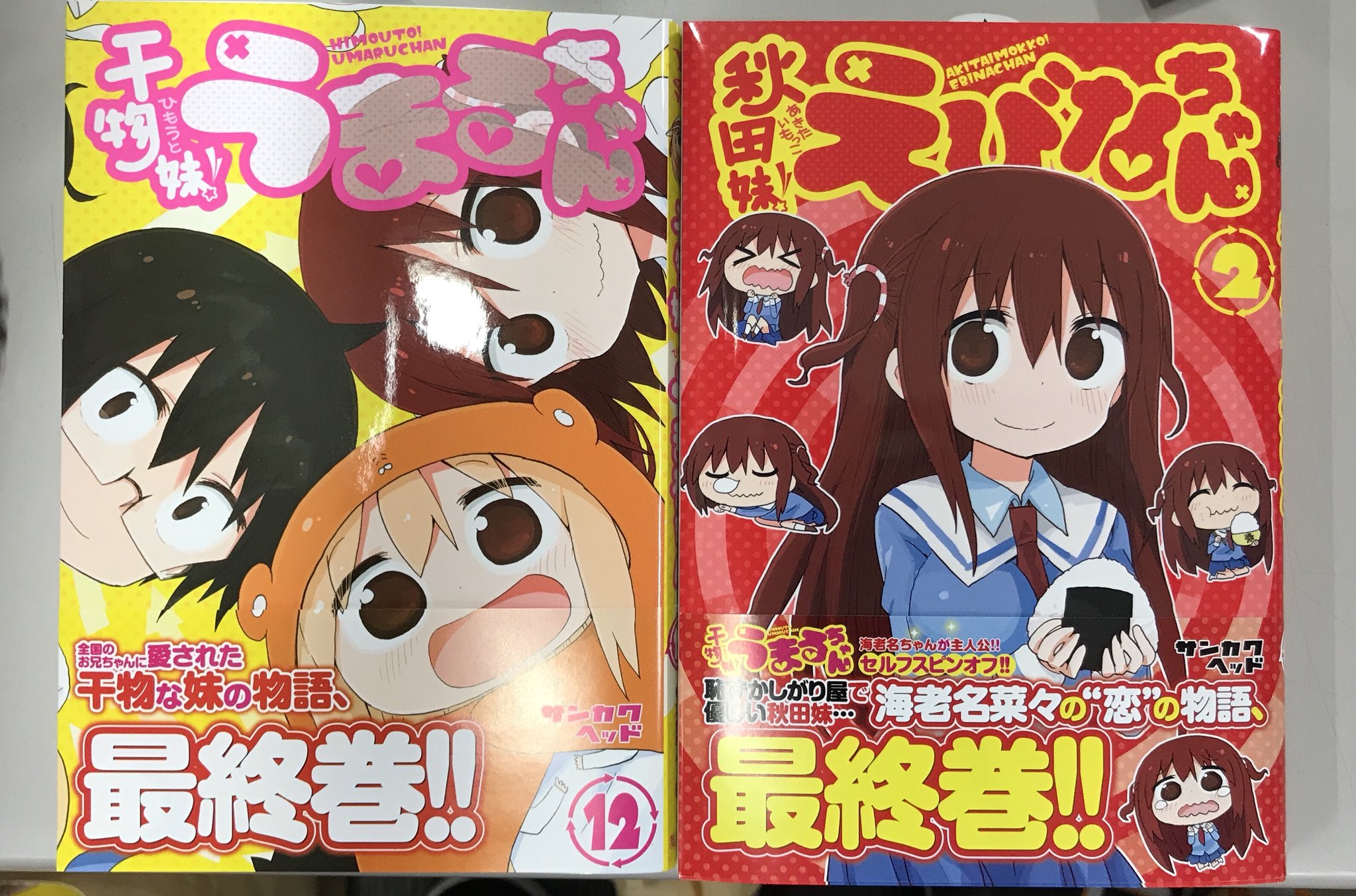 干物妹！うまるちゃん』の海老名ちゃんがスピンオフに！その名も