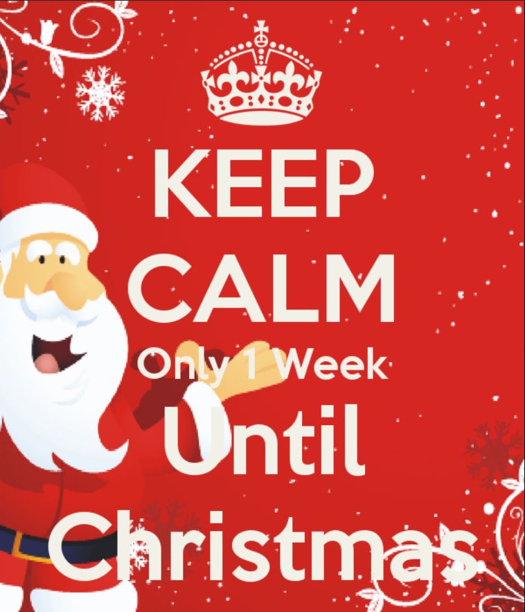 EmilyHall08's tweet photo. It's a Christmas week. Let the celebrations begin. Marry Christmas to everyone...
 
#christmas #christmastree #christmastime #christmaseve #christmas2017 #christmasparty #christmaslights #christmasiscoming #christmasgift #christmas2014 #christmasspirit #christmasday https://t.co/WuM5WCElkr