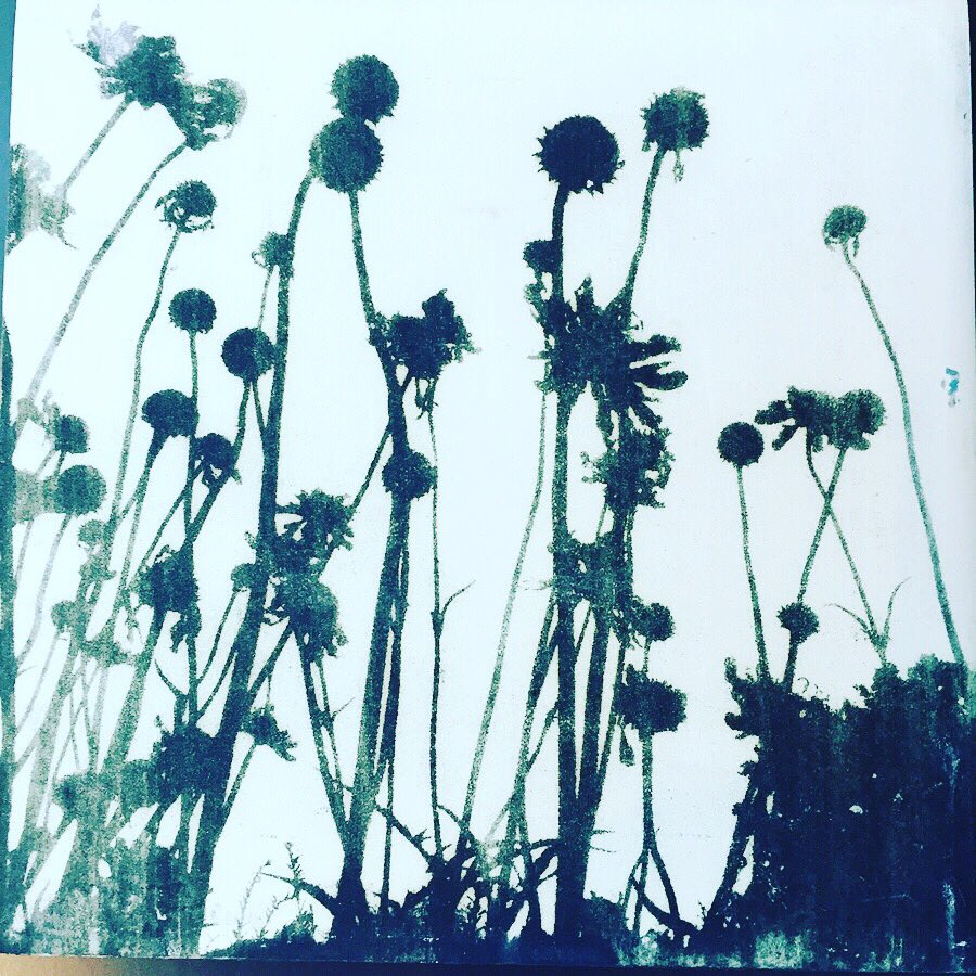 AtriumTruro's tweet photo. Over on #insta we celebrate the diverse range of art + contemporary design we have for sale. Come + find us there or pop in to the gallery + say hi #atriumgallery #truro @VisitTruro @TruroBID @LemonStreetMkt https://t.co/a6Tim99qLY