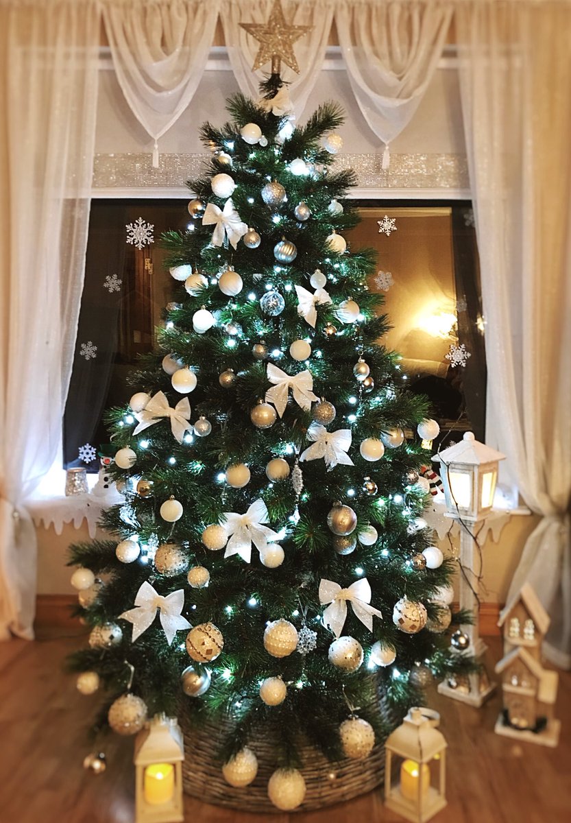 Aureka Photography tweet media