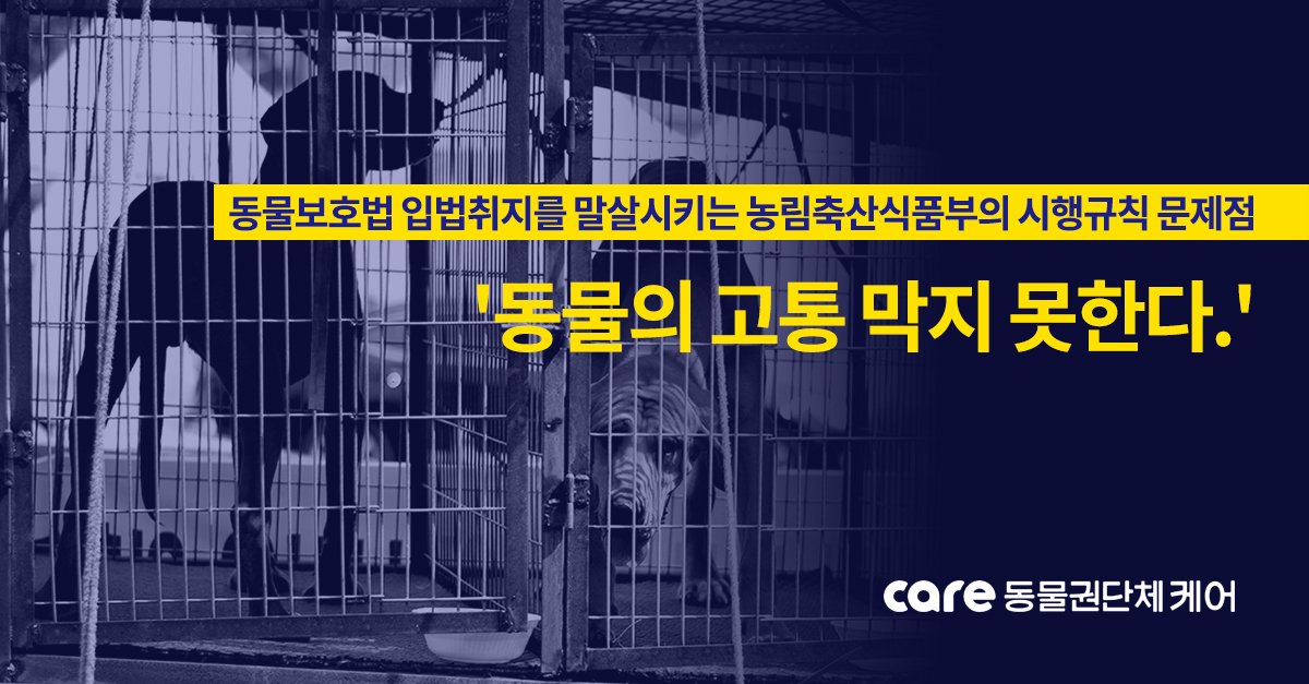FromCareKorea tweet picture