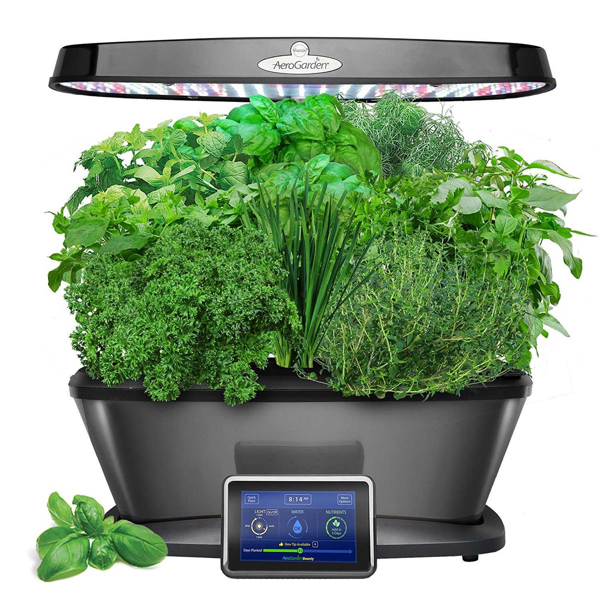 GR8ProWorkshop's tweet photo. 56% OFF #sale #save #aerogarden #herbkit #seadkit AeroGarden Bounty Elite with Gourmet Herb Seed Pod Kit, Platinum https://t.co/7CQurvvzh8 https://t.co/ri1qTGqgXi