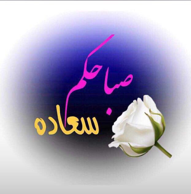 كويتية وافتخر tweet media