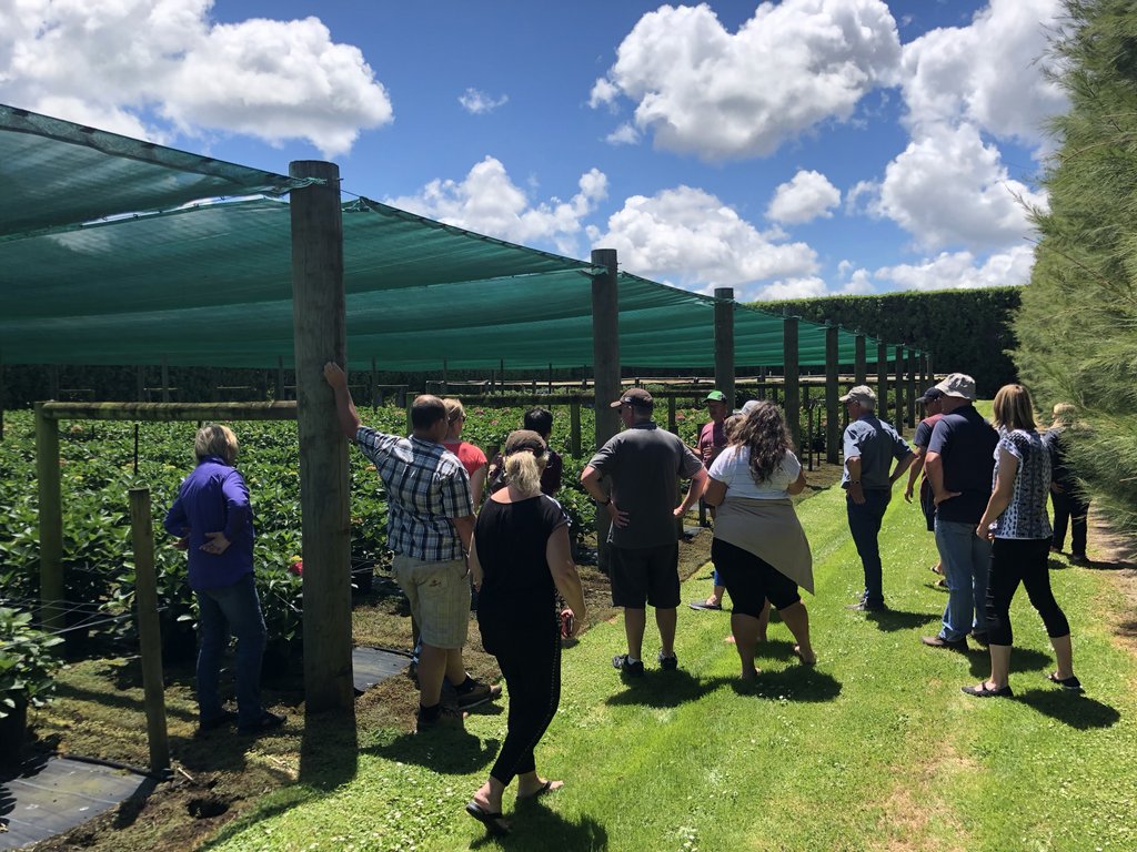 NewZealandBloom's tweet photo. Growers day out! Our manger Mike enjoyed his visits along with #newzealandgrowers as they grow and strengthen our #flowerindustry through sharing information and ideas! #hydrangea #flowerfarm #exportflowers #wholesaleflowers #newzealandbloom #newzealandflowers https://t.co/mgXaD9VIYF
