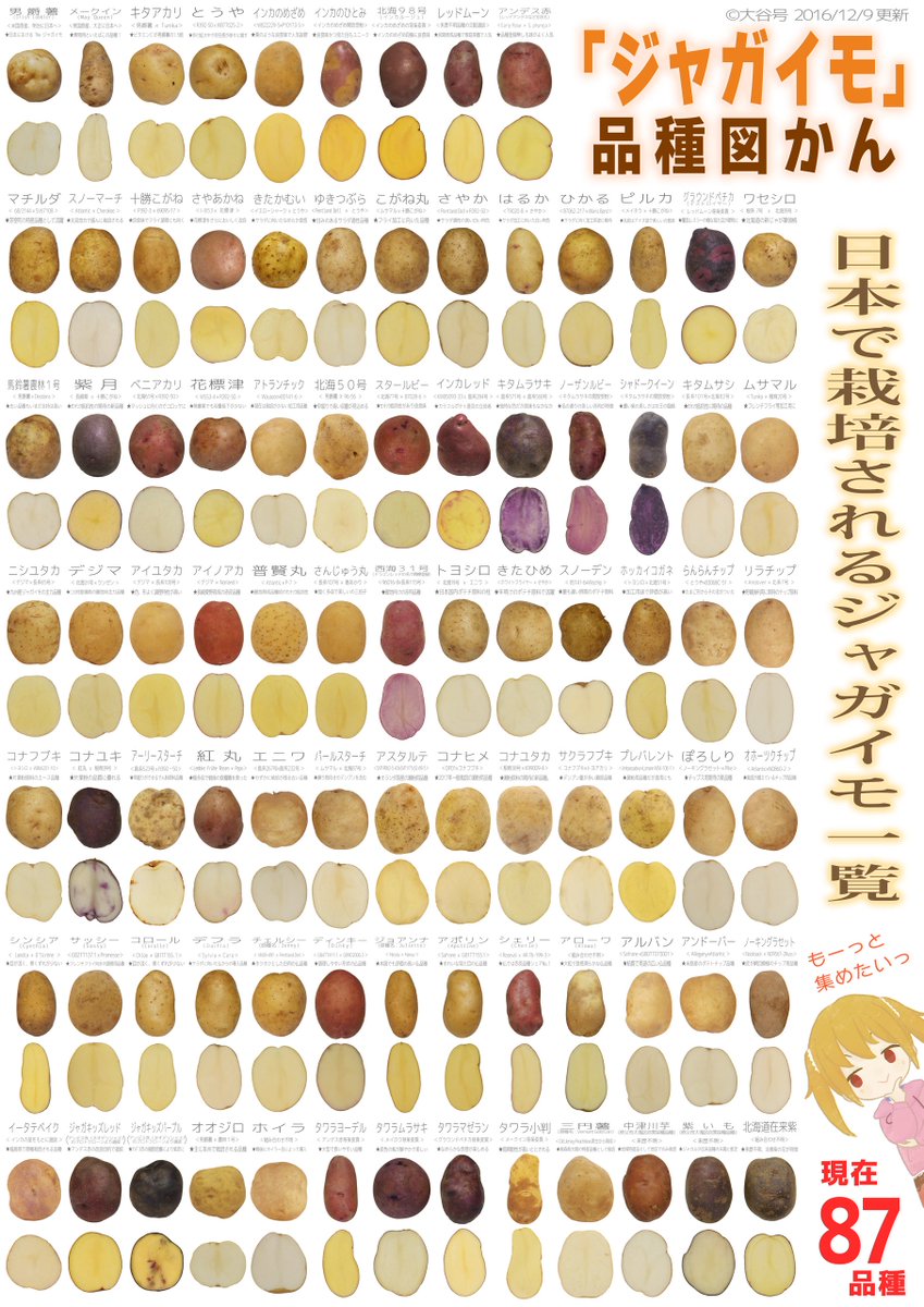食べる大谷さん 東p 01a 2日目 C93 ピ 15b大谷号 既刊のジャガイモ専門誌 ジャガイモ学 も持っていきます 教科書にも 図鑑にも 暇つぶしにもなるすごいやつです そろそろ在庫減ってきたので気になる方はお早めによろしくです おイモも お米も